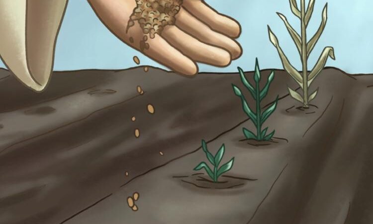 17 MARZO 2024 V DOMENICA DI QUARESIMA : COMMENTO AL VANGELO DI DON ANDREA PUPILLA