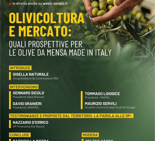 Olivicoltura e mercato: quali prospettive per le olive da mensa Made in Italy, se ne parla alla Sala Isma del Senato della Repubblica a Roma il 22 aprile 2024 a partire dalle ore 15