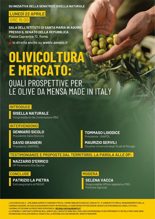 Olivicoltura e mercato: quali prospettive per le olive da mensa Made in Italy, se ne parla alla Sala Isma del Senato della Repubblica a Roma il 22 aprile 2024 a partire dalle ore 15