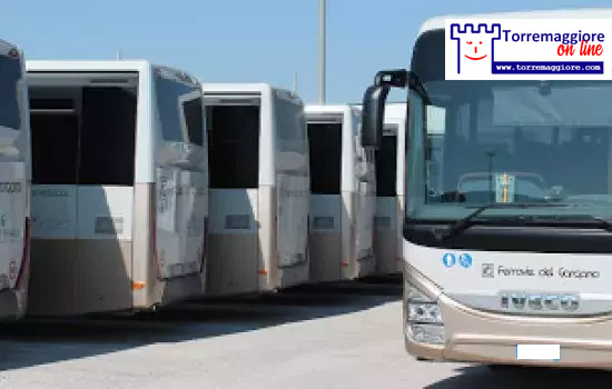 Dal 3 al 6 dicembre 2024 variazione delle fermate bus a Torremaggiore