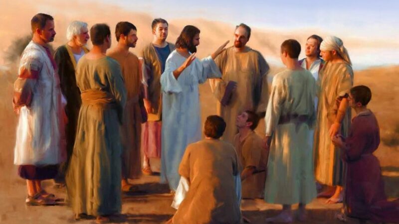 14 LUGLIO 2024 XV DOMENICA DEL TEMPO ORDINARIO: COMMENTO AL VANGELO DI DON ANDREA PUPILLA