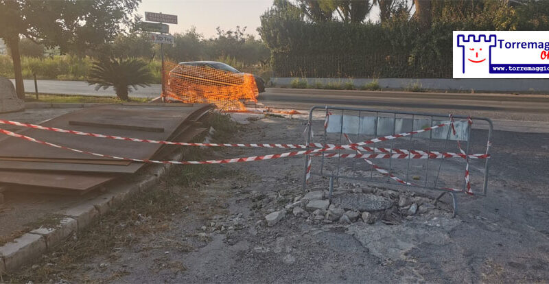 Degrado e disagi nella Zona Artigianale : è nato il Comitato Spontaneo Zona Pip che chiede interventi urgenti e risolutivi al Comune di Torremaggiore, la terza traversa ovvero Via Michele Di Pumpo è diventata impraticabile