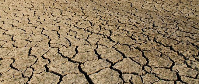 Ugo Celozzi – Coldiretti Giovani Impresa Foggia: la crisi idrica sta mettendo in ginocchio la nostra agricoltura