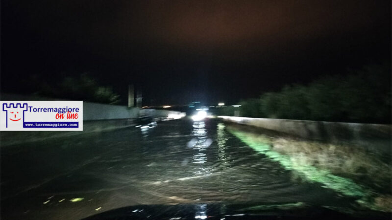 Maltempo senza tregua nell’Alto Tavoliere: strade sommerse dall’acqua a San Severo e sulle arterie per raggiungere Torremaggiore e San Paolo di Civitate, disagi agli automobilisti. Tante vetture bloccate e viabilità in tilt