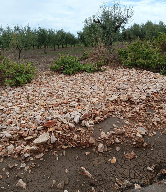 Nota dell’opposizione di centrodestra di Torremaggiore: di aperto…solo il cielo
