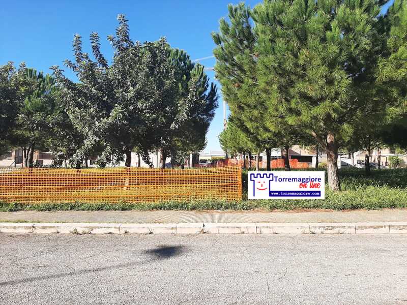 Torremaggiore: avviati i lavori per la realizzazione del Teatro all’aperto su Viale XXV Aprile nel Parco Fabrizio De Andrè all’interno del Quartiere Spirito Santo con fondi del bilancio comunale per 190mila euro