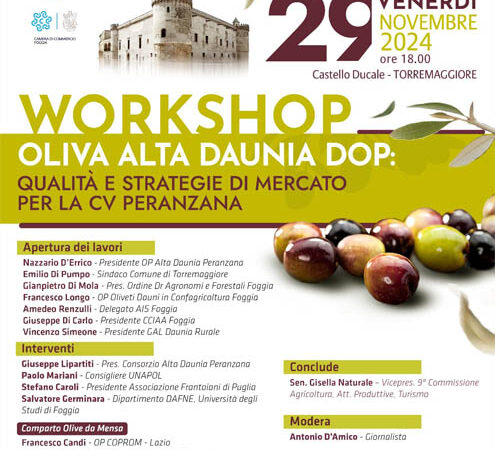 Workshop Oliva Alta Daunia DOP qualità e strategie di mercato per la Peranzana: se ne parla il 29 novembre 2024 al Castello Ducale De Sangro di Torremaggiore a partire dalle ore 18