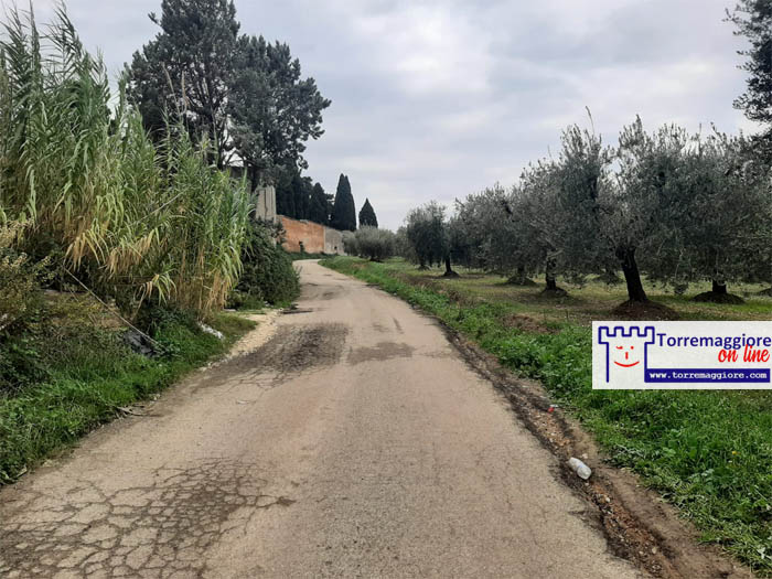 Strada Comunale Torremaggiore Lesina dissestata e piena di buche: si necessita un intervento esecutivo per il rifacimento di questa arteria cittadina