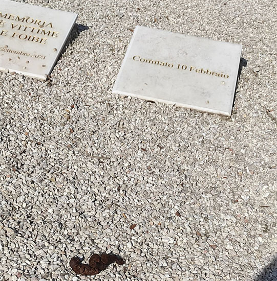 Pubblica denuncia del Comitato 10 Febbraio sullo stato di degrado a Piazza Martiri delle Foibe