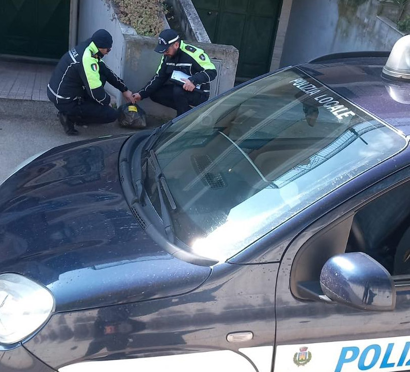 Proseguono i controlli della Polizia Locale di Torremaggiore sul corretto conferimento dei rifiuti