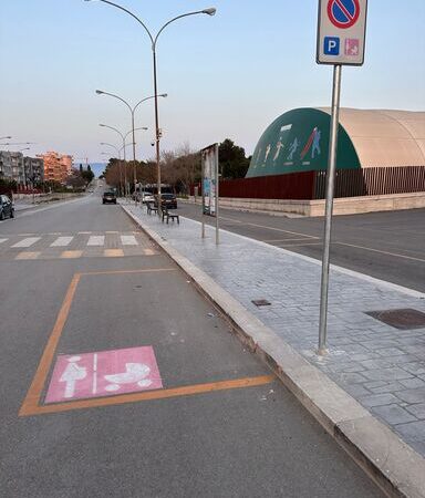 Stalli rosa a Torremaggiore? Segnalazioni degli utenti: manca la modulistica per richiedere il pass dedicato