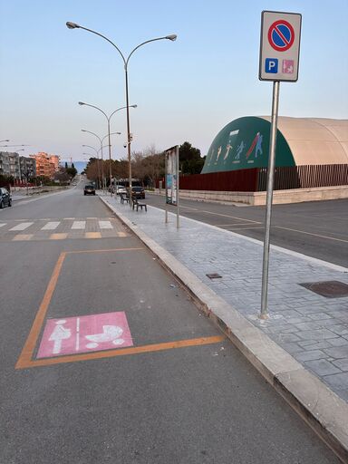 Stalli rosa a Torremaggiore? Segnalazioni degli utenti: manca la modulistica per richiedere il pass dedicato