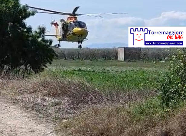 Incidente mortale sulla SP30 Torremaggiore San Severo: muore ciclista trentanovenne di origine rumena dopo un impatto violento con una Fiat Punto