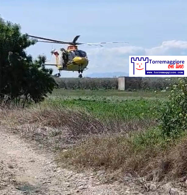 Incidente mortale sulla SP30 Torremaggiore San Severo: muore ciclista trentanovenne di origine rumena dopo un impatto violento con una Fiat Punto