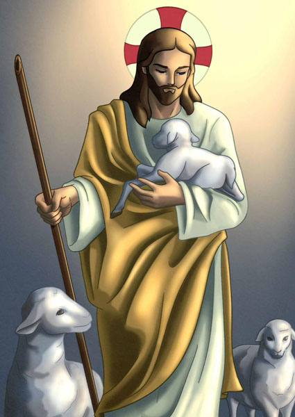 11 maggio 2025 IV Domenica di Pasqua : commento al Vangelo di Don Andrea Pupilla