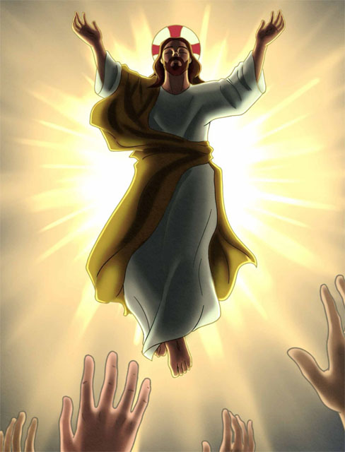 1 giugno 2025 Domenica dell’ Ascensione del Signore: commento al Vangelo di Don Andrea Pupilla