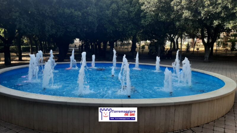 Il Calendario Ecologico 2026 cartaceo di Torremaggiore è possibile ritirarlo presso la Villa Comunale Federico II sette giorni su sette