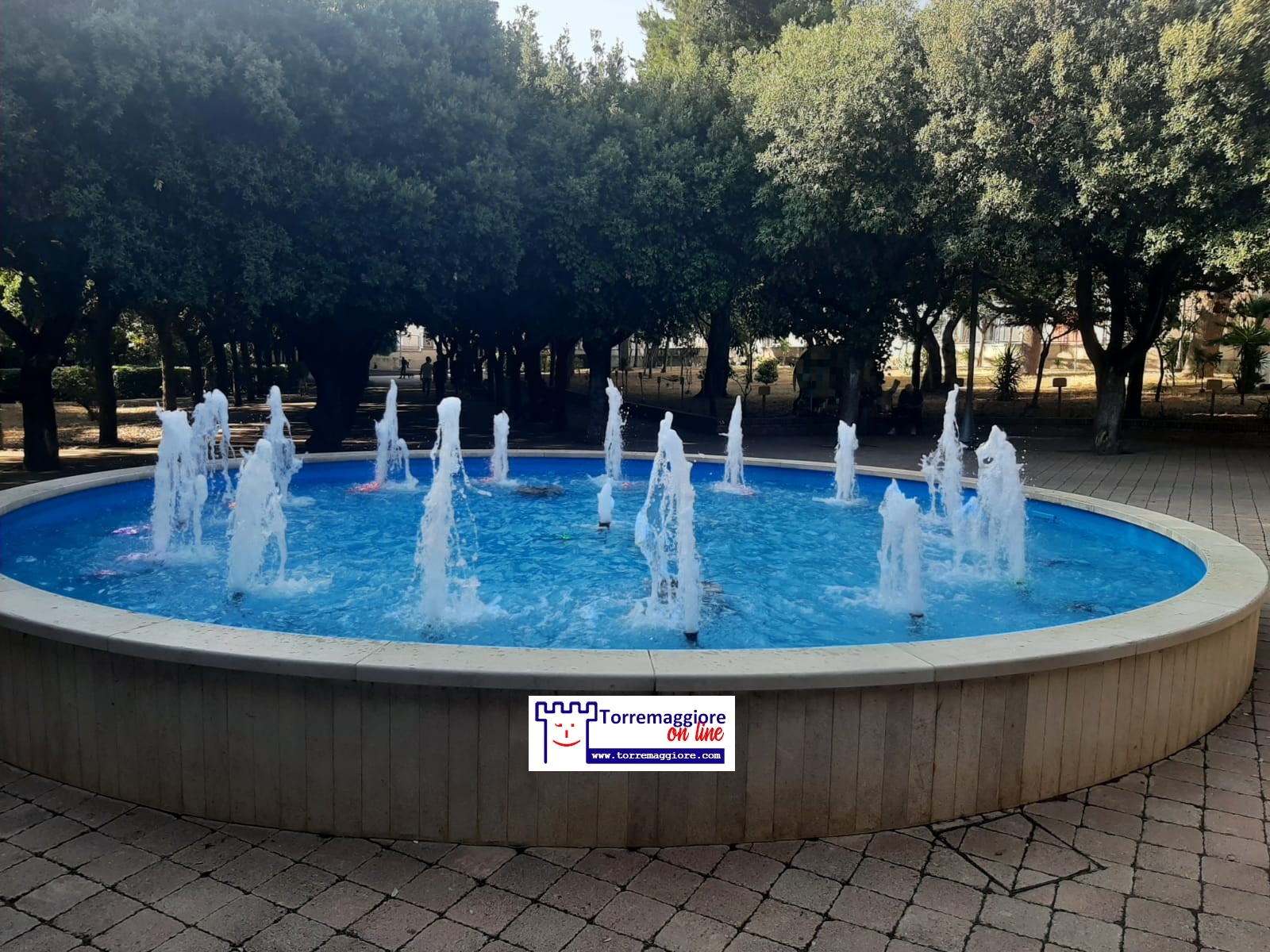 Il Calendario Ecologico 2026 cartaceo di Torremaggiore è possibile ritirarlo presso la Villa Comunale Federico II sette giorni su sette