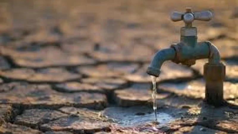 Dichiarazione stato calamità a Torremaggiore: per il centrodestra la risposta all’emergenza è ridotta alla sola formalità e non è sufficiente per la sopravvivenza della nostra agricoltura