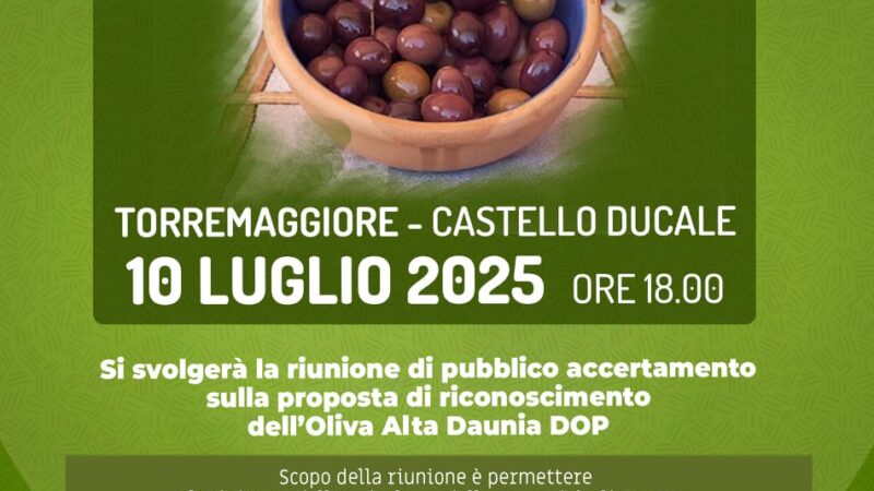 Torremaggiore 10 luglio 2025: riunione di pubblico accertamento per il riconoscimento della DOP per l’oliva Alta Daunia Peranzana al Castello Ducale a partire dalle ore 18 in presenza dei funzionari del Ministero dell’Agricoltura della Sovranità alimentare e della Regione Puglia