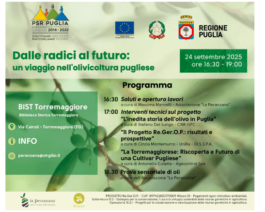 Dalle radici al futuro: un viaggio nell’olivicoltura pugliese, se ne parla alla BIST Biblioteca Storica di Torremaggiore il 24 settembre 2025 a partire dalle ore 16.30