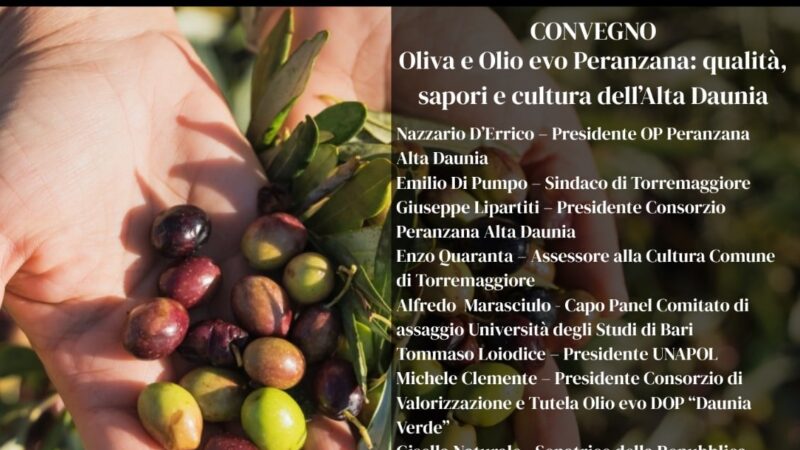 Oliva e Olio evo Peranzana, convegno Premitour il 22 settembre a Torremaggiore