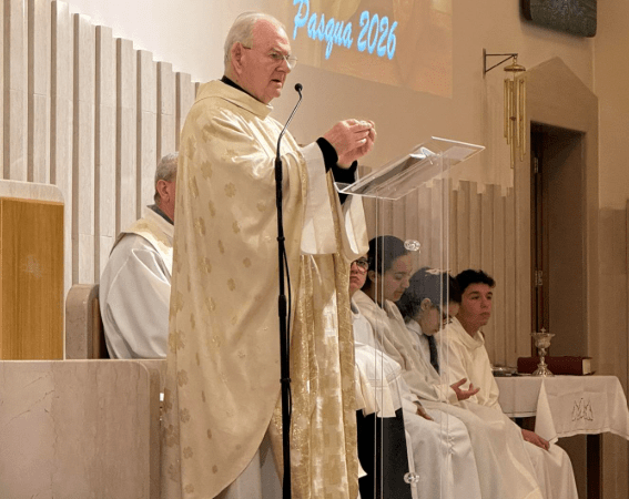 Riflessione pubblica di Don Renato Borrelli: la liturgia come rito intriso di teologia